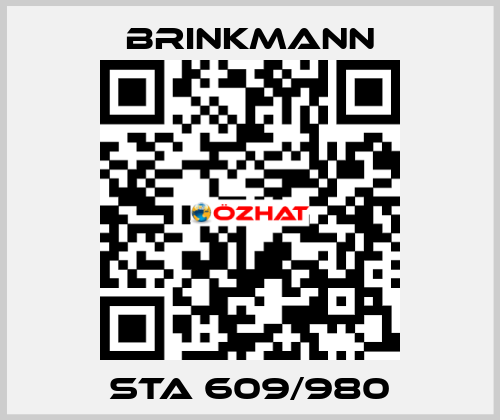 STA 609/980 Brinkmann