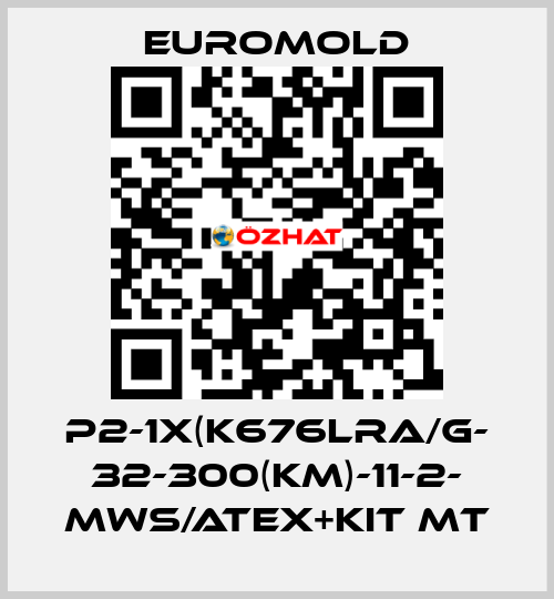 P2-1x(K676LRA/G- 32-300(KM)-11-2- MWS/ATEX+KIT MT EUROMOLD