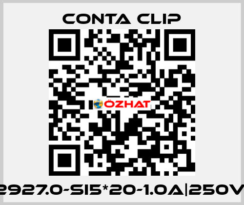 2927.0-SI5*20-1.0A|250V| Conta Clip