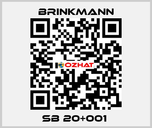 SB 20+001  Brinkmann