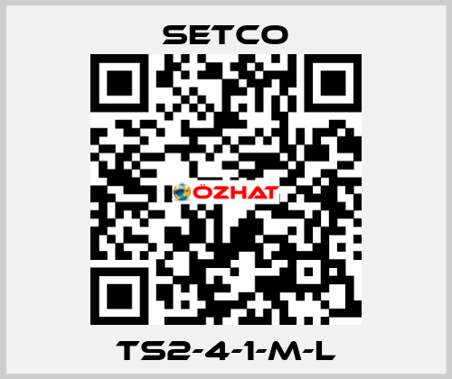 TS2-4-1-M-L SETCO