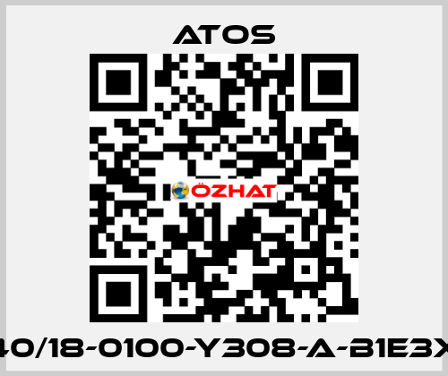 CK-40/18-0100-Y308-A-B1E3X1Z3 Atos