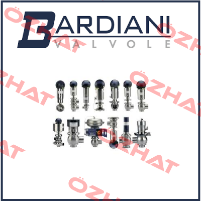 Kit for valve Type: BBZ81EX Code: BGDAAA065BPAJ Bardiani Valvole