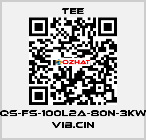 QS-FS-100L2A-80N-3KW VIB.CIN TEE