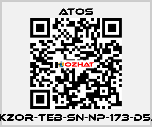 DKZOR-TEB-SN-NP-173-D5/F Atos