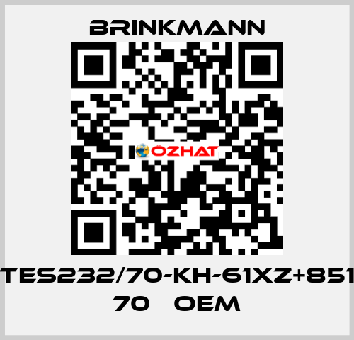 TES232/70-KH-61XZ+851 70   oem Brinkmann