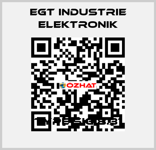 Type SIG 8.31 EGT Industrie elektronik