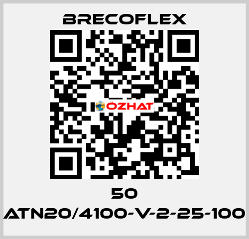 50 ATN20/4100-V-2-25-100 Brecoflex