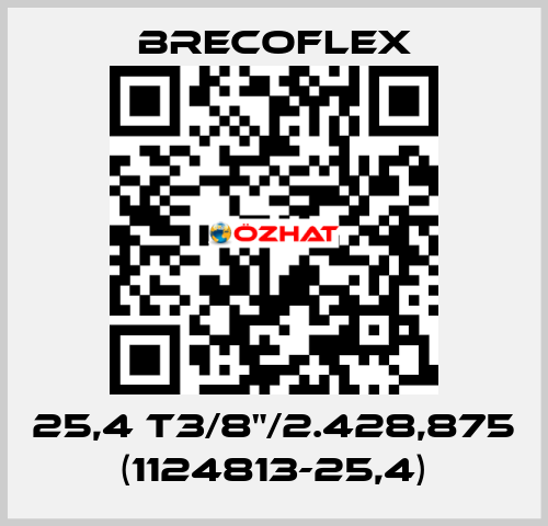 25,4 T3/8"/2.428,875 (1124813-25,4) Brecoflex