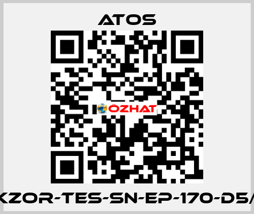 DKZOR-TES-SN-EP-170-D5/FI Atos