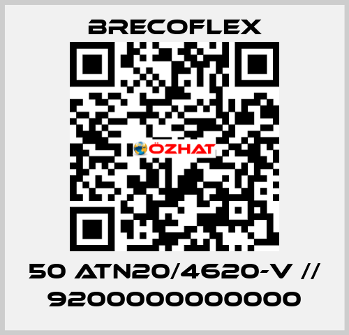 50 ATN20/4620-V // 9200000000000 Brecoflex