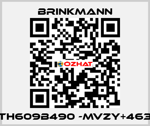 TH609B490 -MVZY+463 Brinkmann