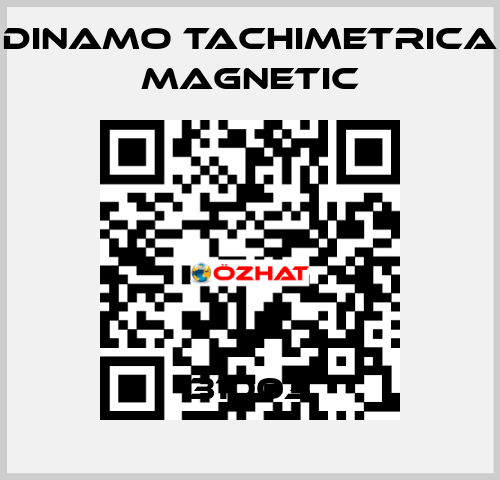 31003 Dinamo Tachimetrica Magnetic