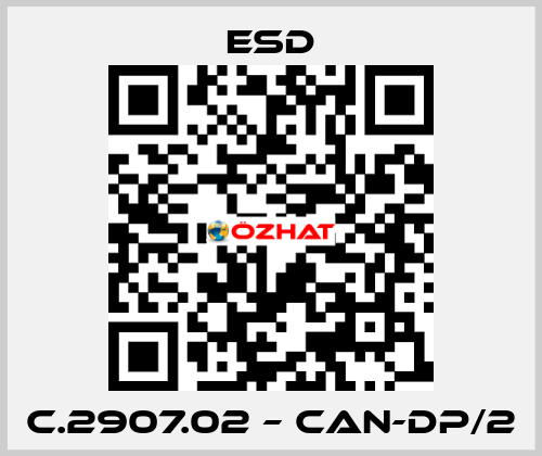 C.2907.02 – CAN-DP/2 ESD