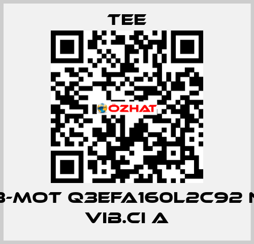 3-Mot Q3EFA160L2C92 N Vib.CI A TEE