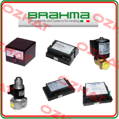 coil for 13743505 Brahma