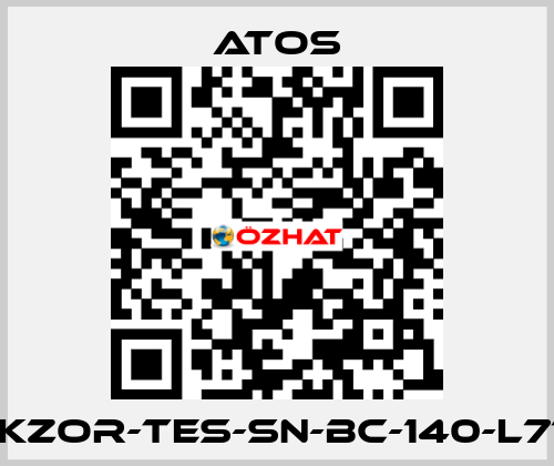 DLKZOR-TES-SN-BC-140-L71/Y Atos