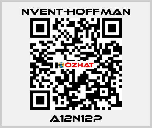 A12N12P nVent-Hoffman