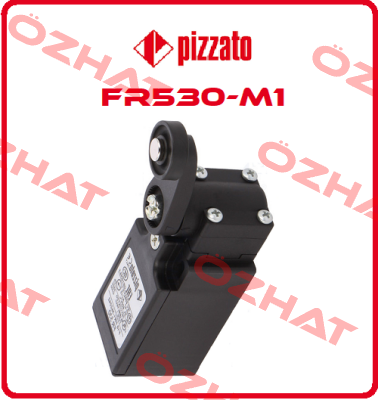 FR530-M1 Pizzato Elettrica