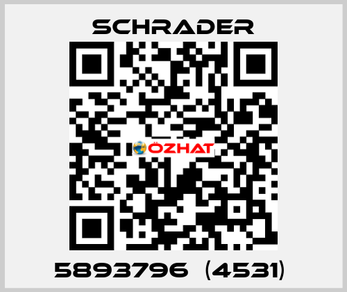 5893796  (4531)  Schrader