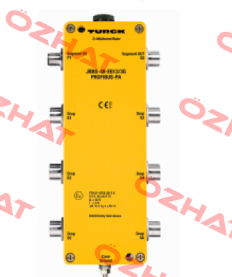 JBBS-48-M613/3G Turck