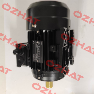 DMGL 90L4 – B3 DM Motors