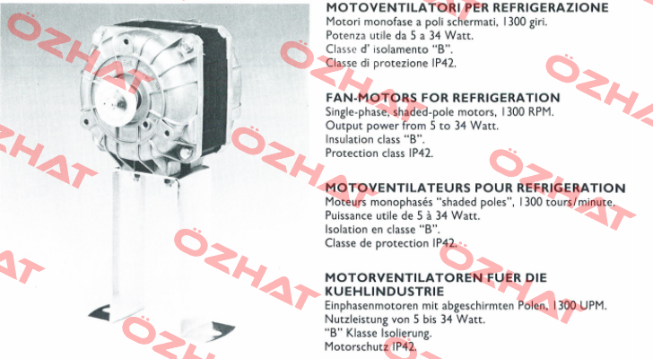 82-1305 Euro Motors Italia