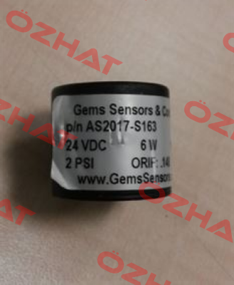 AS2017-S163 OEM  Gems