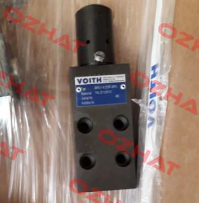 DK55.1-6-250P-391K Voith