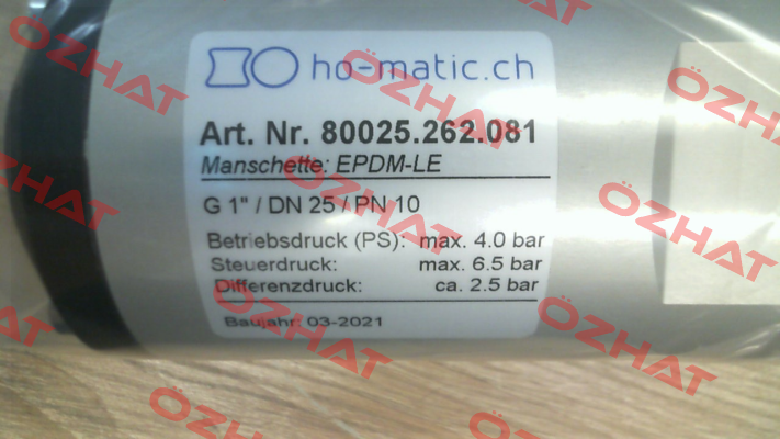 80025.262.081 Ho-Matic AG