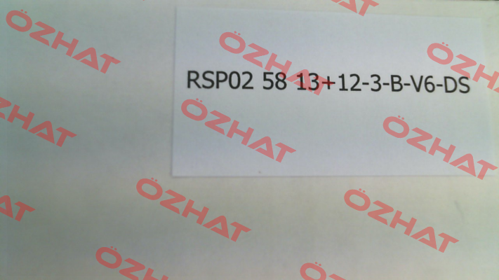 RSP02- 58 13+12-3-B-V6-DS (02.12.25231150) Resatron