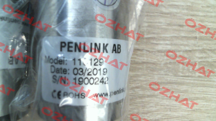 110129 PENLINK