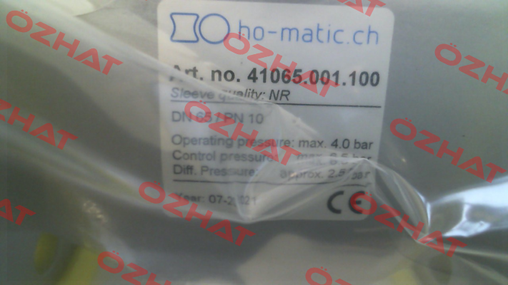 41065.001.100 (QSV65 F) Ho-Matic AG