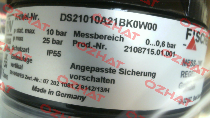 DS21010A21BK0W00 Fischer