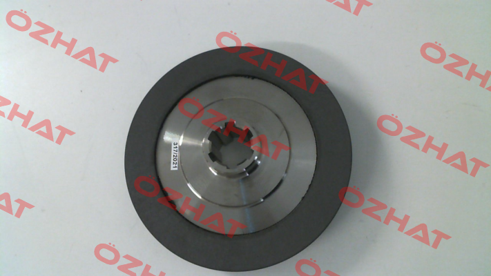 Brake Disc 100SMI (714280054) Bonfiglioli