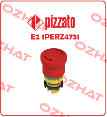 E2 1PERZ4731 Pizzato Elettrica