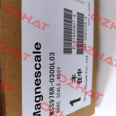 MSS976R-300MM (30-300-30) Magnescale