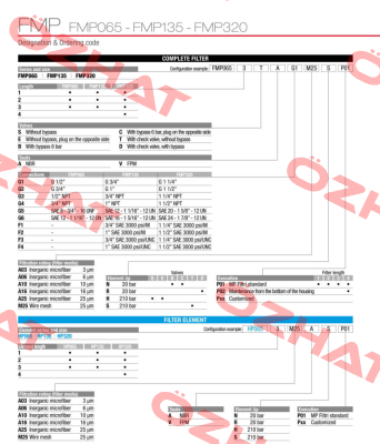 FMP-135-2-S-A-G1-A10-H-P01 MP Filtri