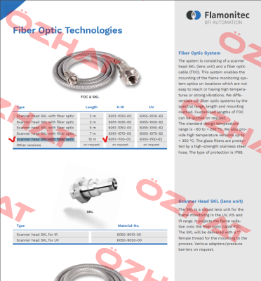 6051-1100-00 BFI AUTOMATION